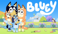 Bluey Game