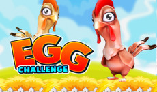 Egg Challenge