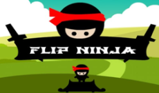 Flip Ninja