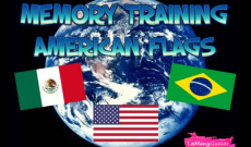 MEMORY TRAINING. AMERICAN FLAGS