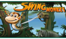 Monkey Swing