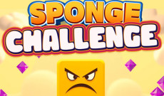 Sponge Challenge